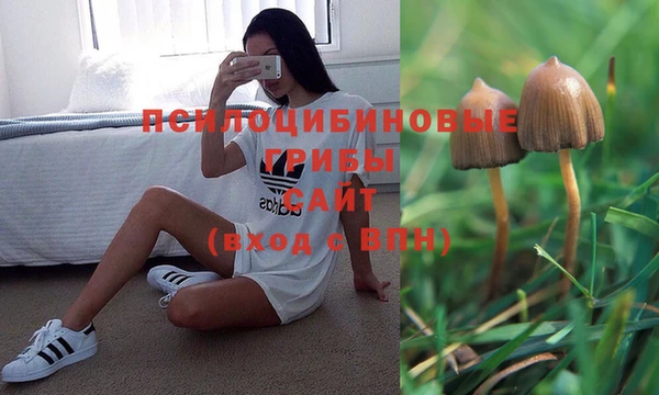 прущая мука Балабаново