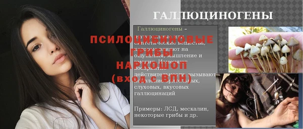 молекула духа Белокуриха