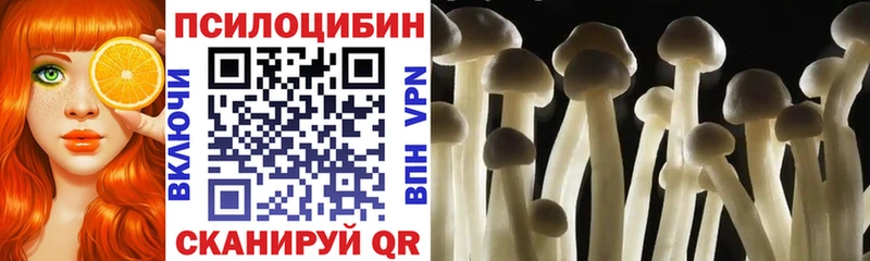 Псилоцибиновые грибы мухоморы  купить закладку  hydra вход  маркетплейс клад  Соль-Илецк 