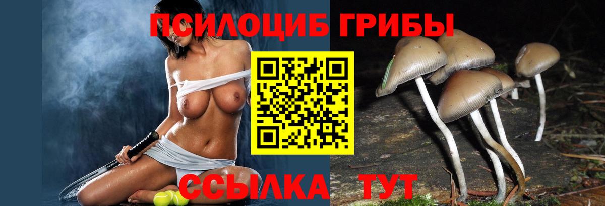 Псилоцибиновые грибы ЛСД Соль-Илецк
