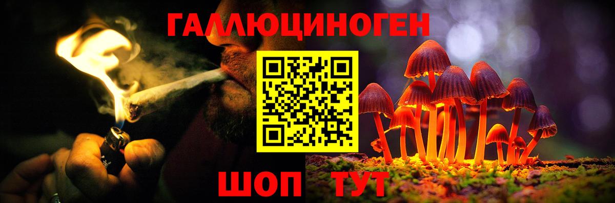 Галлюциногенные грибы Cubensis  Вход с VPN  Соль-Илецк  Псилоцибиновые грибы Psilocybe 